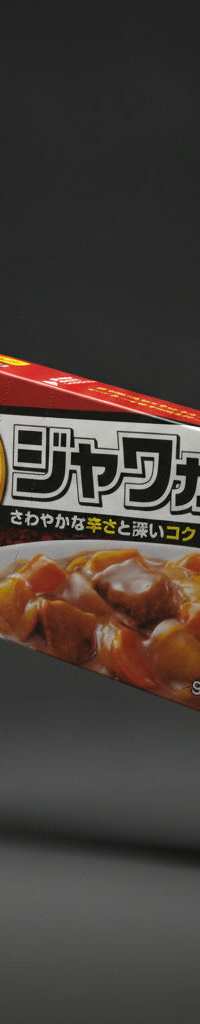 House - Java spicy curry sauce 185g