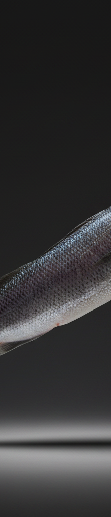 DRY AGED WILD SEABASS PER KG