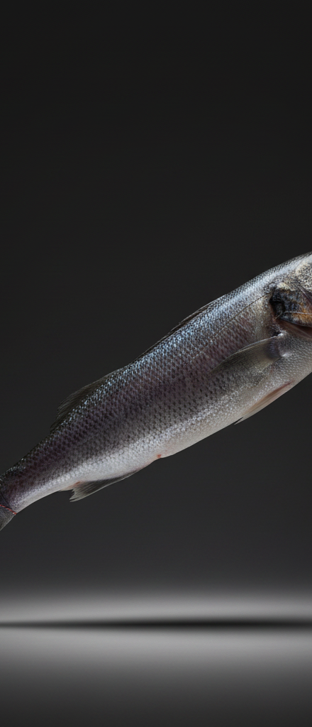 DRY AGED WILD SEABASS PER KG