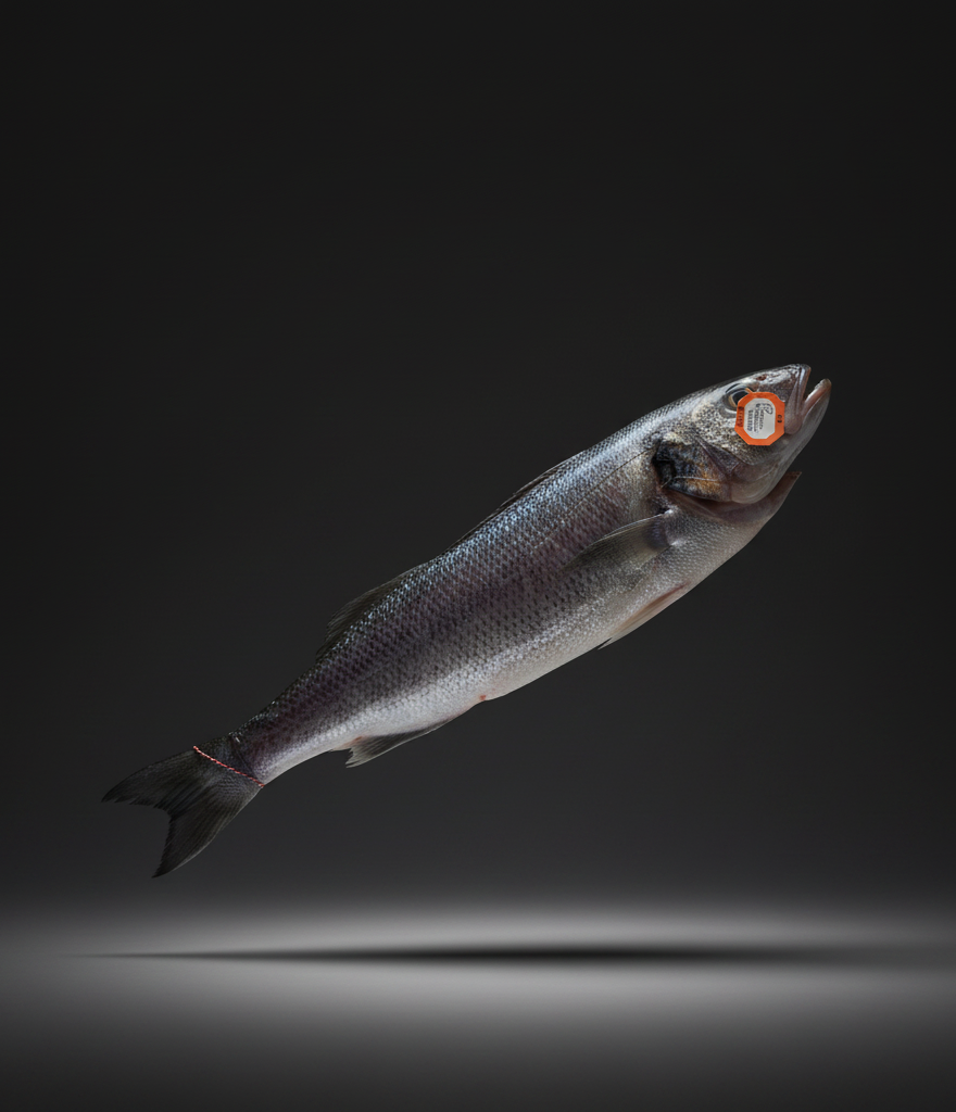 DRY AGED WILD SEABASS PER KG