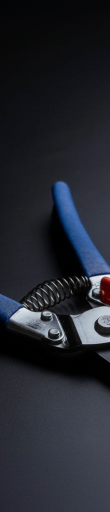 Saboten Pruning Shears