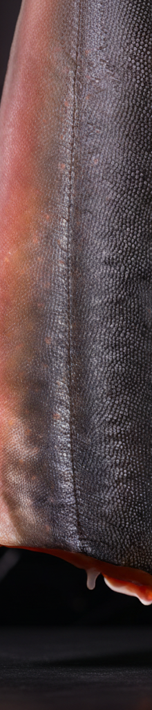 DRY AGED ARCTIC CHAR PER KG