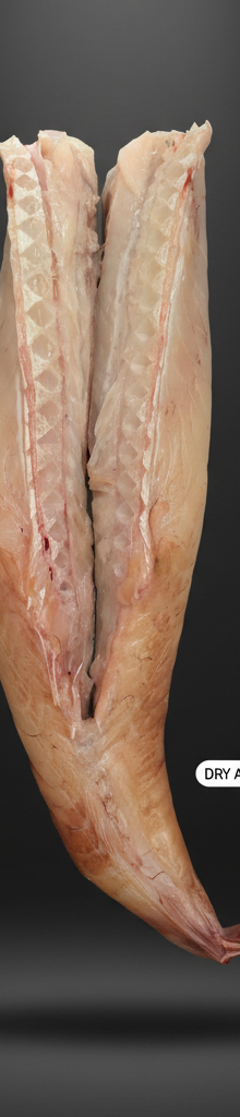 DRY AGED MONKFISH PER KG